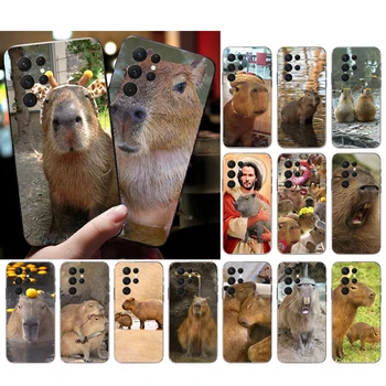 Capybara Telefón puzdro Pre Samsung A52S A21S A23 A33 A13 A14 A32 A52 A53 A54 A51 A71 M51