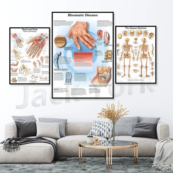 Kostrový systém diagram Umenie Plagátu Tlač Telo Mapu Plátno, Maľovanie obrazov na Stenu pre Lekárske Vzdelávanie Domova